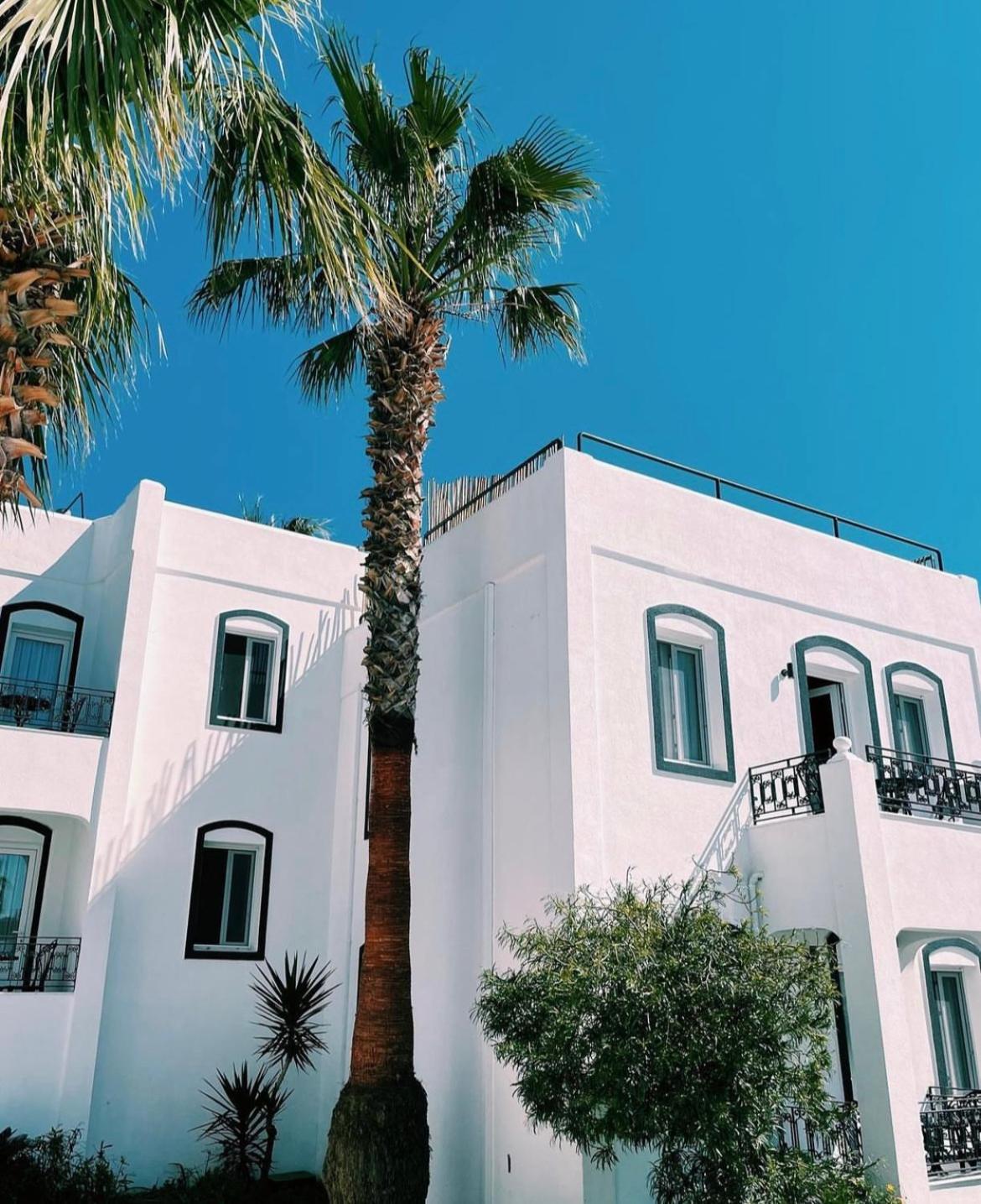 Yalinn Boutique Hotel Yalıkavak Exteriér fotografie